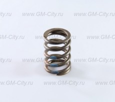 Пружина клапана Chevrolet Aveo T200