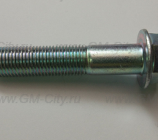 Болт крепления стойки амортизатора Chevrolet Lacetti