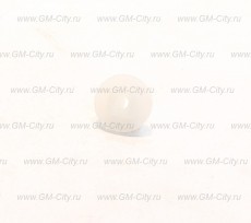 Гайка крепления бампера Chevrolet Aveo T255