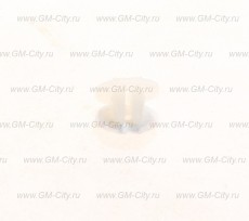 Гайка крепления бампера Chevrolet Aveo T255