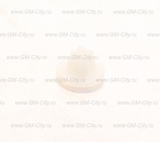 Гайка крепления бампера Chevrolet Aveo T255