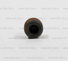 Заглушка масляного насоса Chevrolet Aveo T255