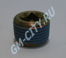 Пробка сливная кпп Chevrolet Aveo T255