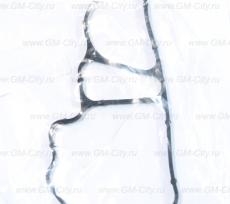 Прокладка помпы Chevrolet Epica