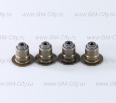 Колпачок маслосъёмный Chevrolet Aveo T255