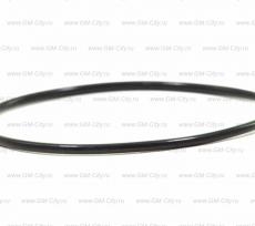 Кольцо уплотнительное gm Chevrolet Aveo T300