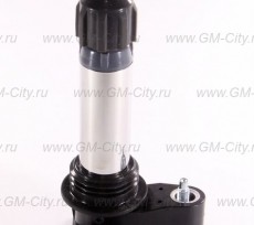 Катушка зажигания Chevrolet Captiva C100