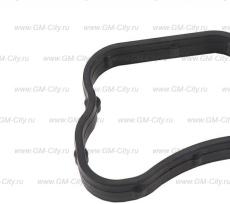 Прокладка насоса охлаждения gm Chevrolet Captiva C140