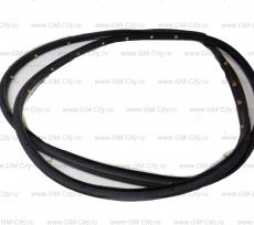 Уплотнитель двери передний правый gm Chevrolet Orlando