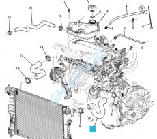 Шланг впускной радиатора мкпп