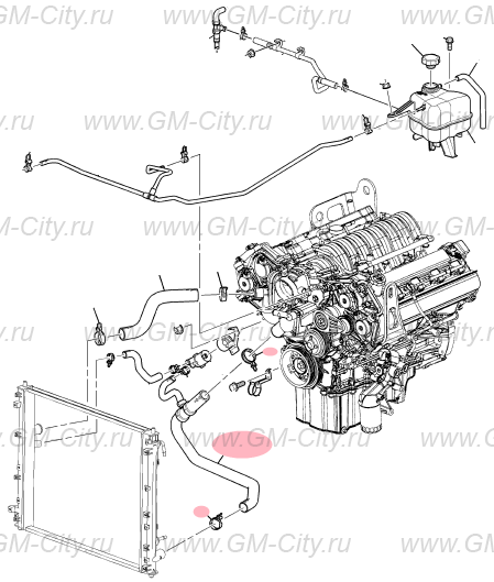 Патрубок радиатора нижний выпускной купить для Cadillac SRX І - 89023436